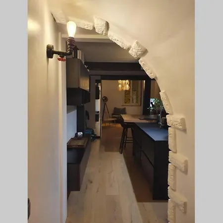 Loft De Type Industriel Et Spacieux Apartment