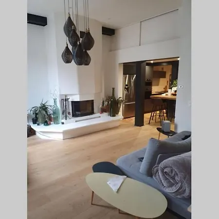 Loft De Type Industriel Et Spacieux * Nice