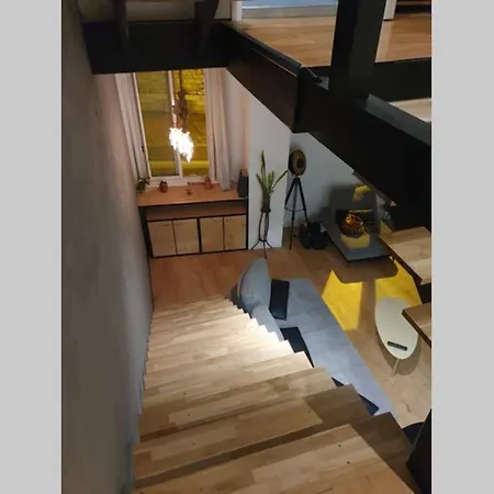 Loft De Type Industriel Et Spacieux Apartment Nice